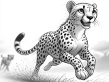 cheetah coloriages