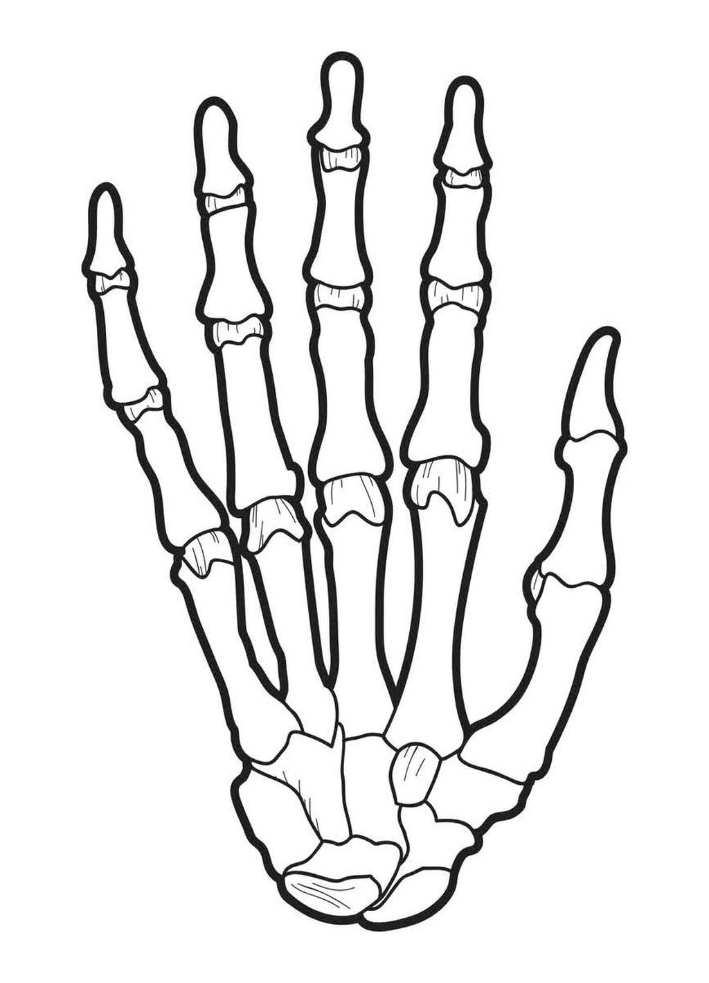 X Ray 13 Printable Pages